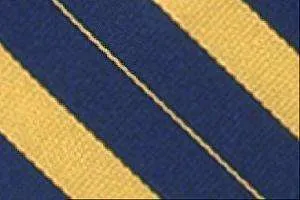 Bar Stripe Clip-On- With Button Hole Feature Uniform T
