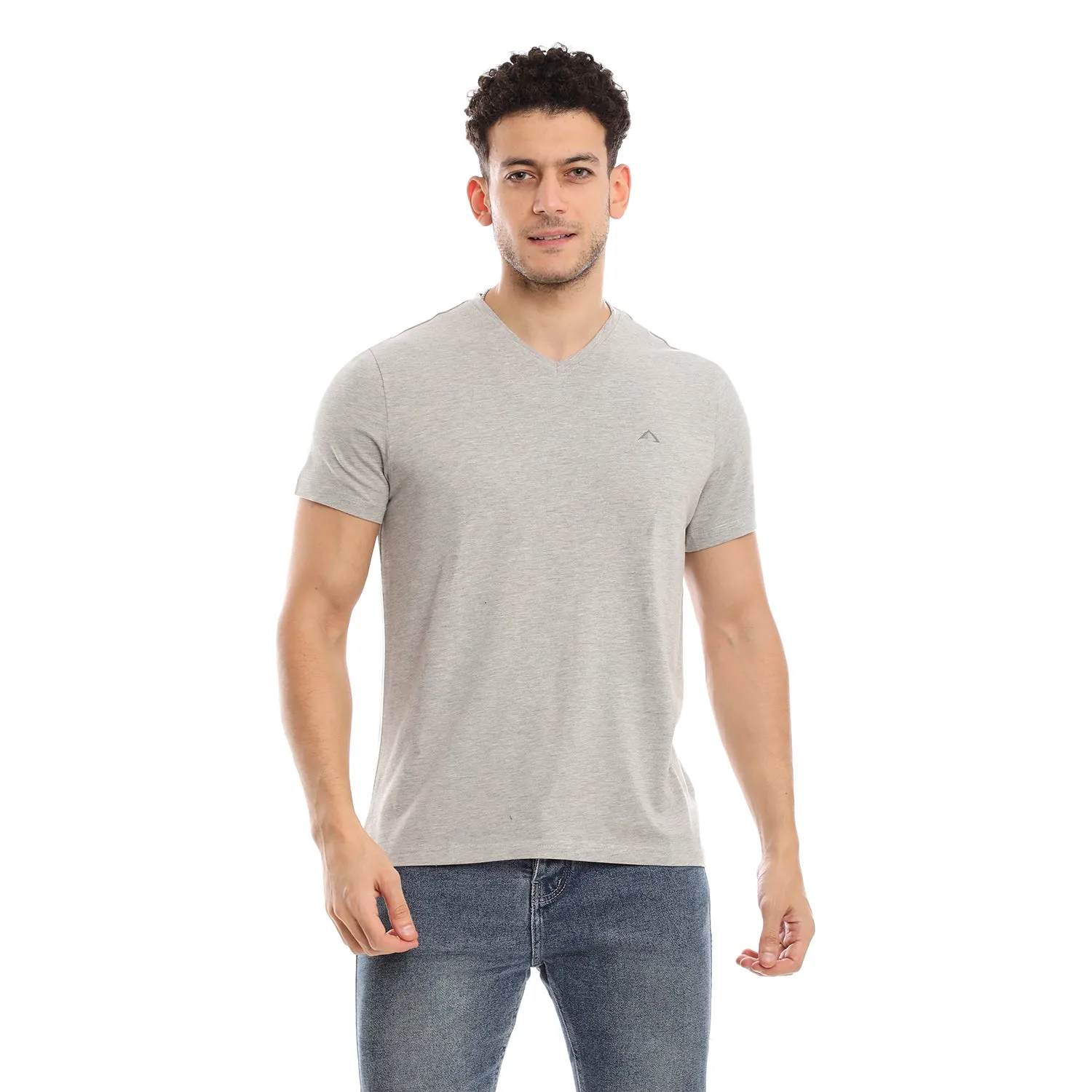 BLACK & H. GREY CLEOCOTTON PREMIUM V-NECK MODAL STRETCH LOGO T-SHIRT - 2 PK