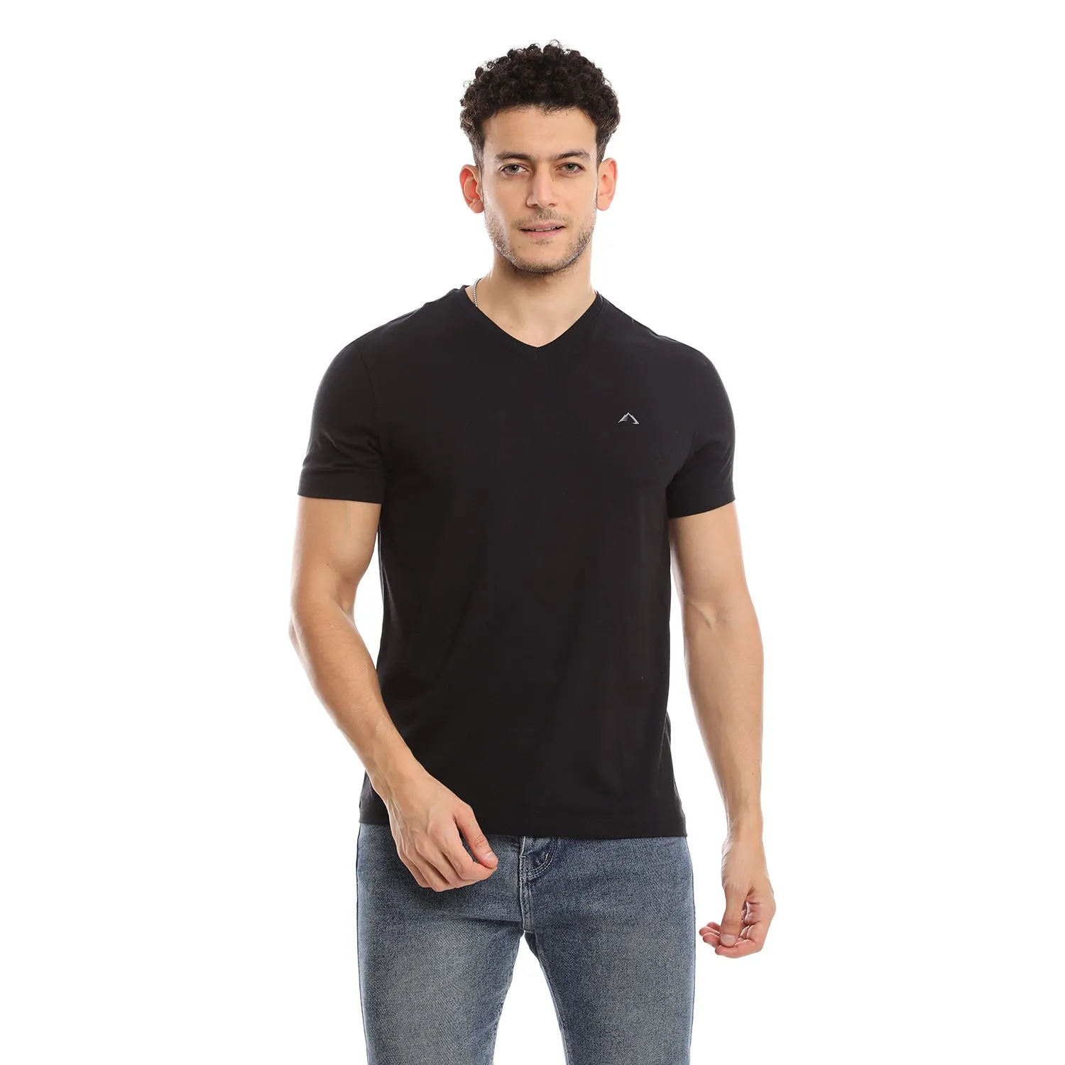 BLACK & H. GREY CLEOCOTTON PREMIUM V-NECK MODAL STRETCH LOGO T-SHIRT - 2 PK