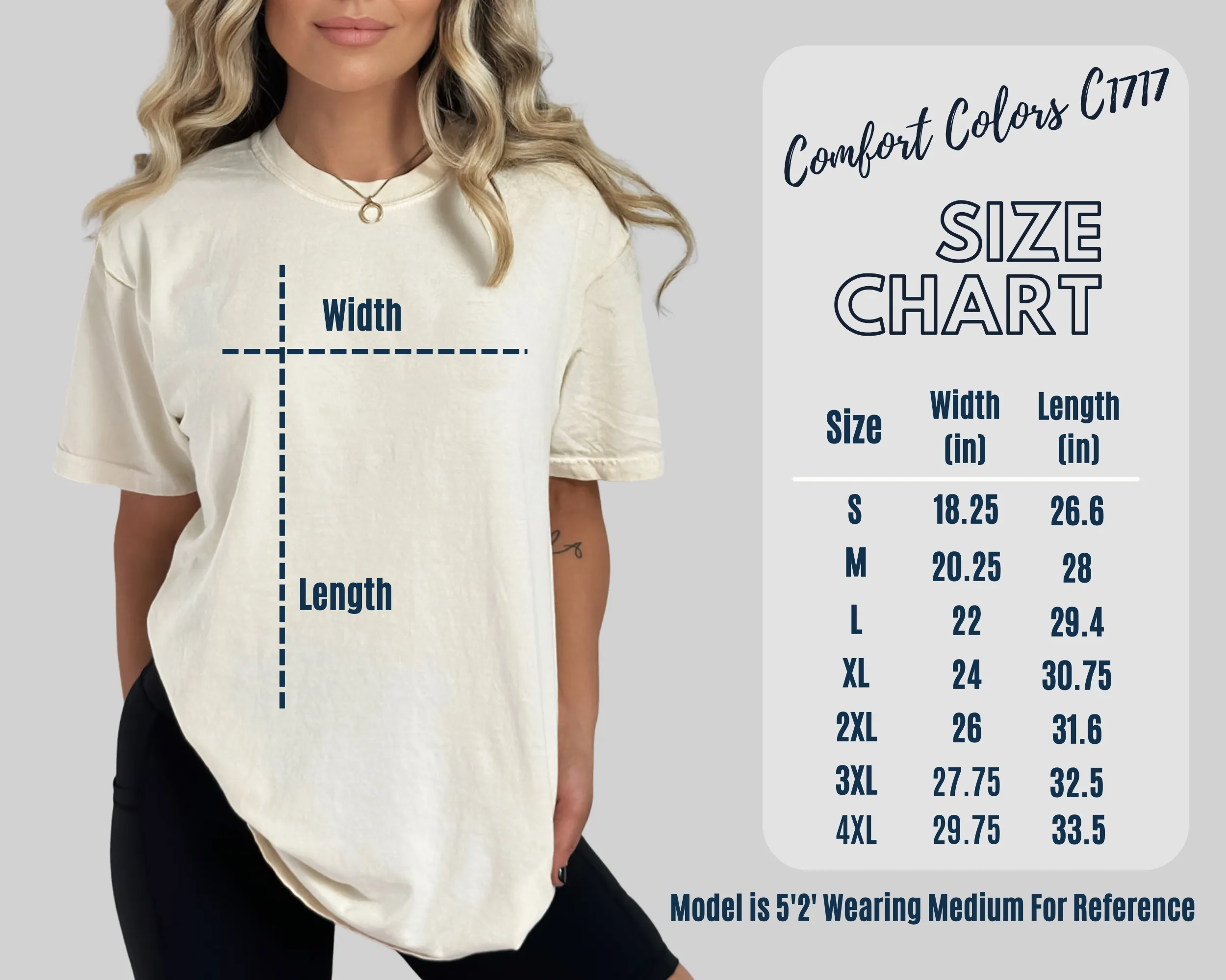 Denali National Park Alaska Comfort Colors® Tee