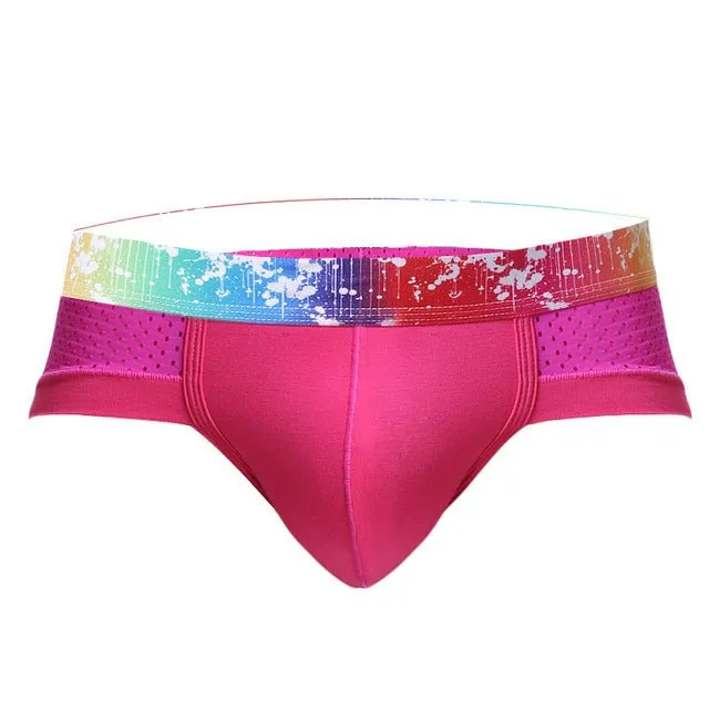Rainbow Band Mesh Briefs