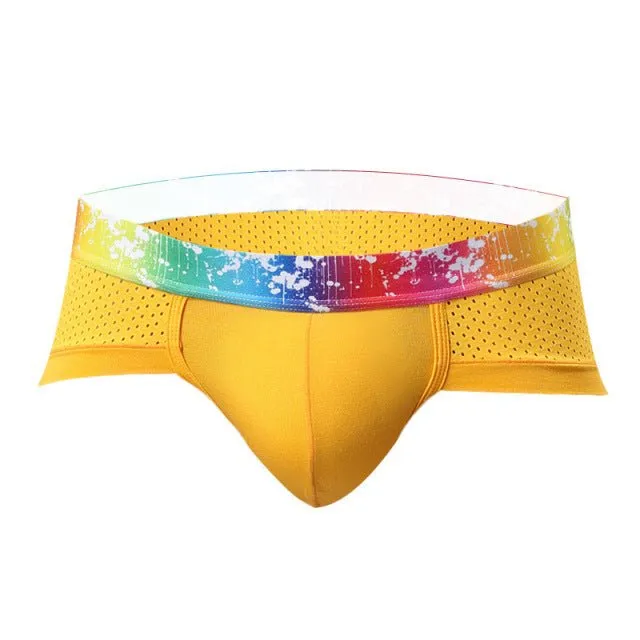 Rainbow Band Mesh Briefs