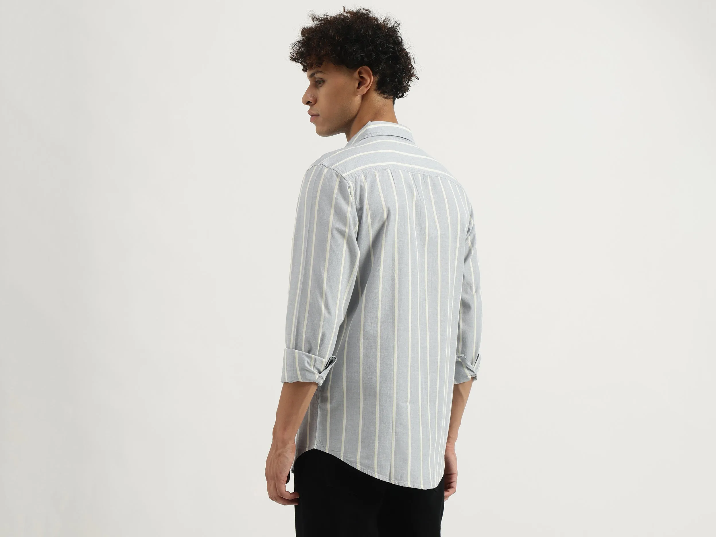 Regular Spread Collar Striped Shirt